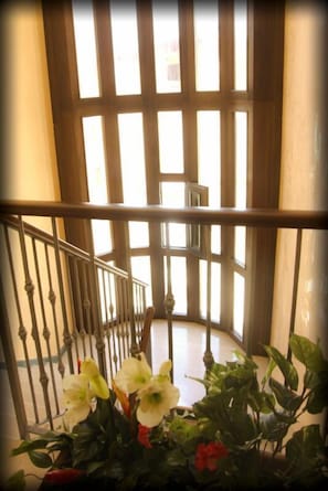 Interior - Hotel Ristorante Rinelli (Margherita di Savoia)