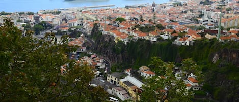 A coastal town with a view of three cruise ships docked at the port.