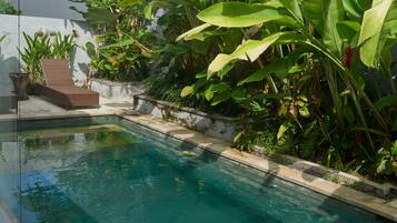 Une piscine entourée d’une végétation luxuriante et une chaise longue.