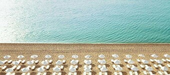 Hotel Grifid Foresta  Adults Only