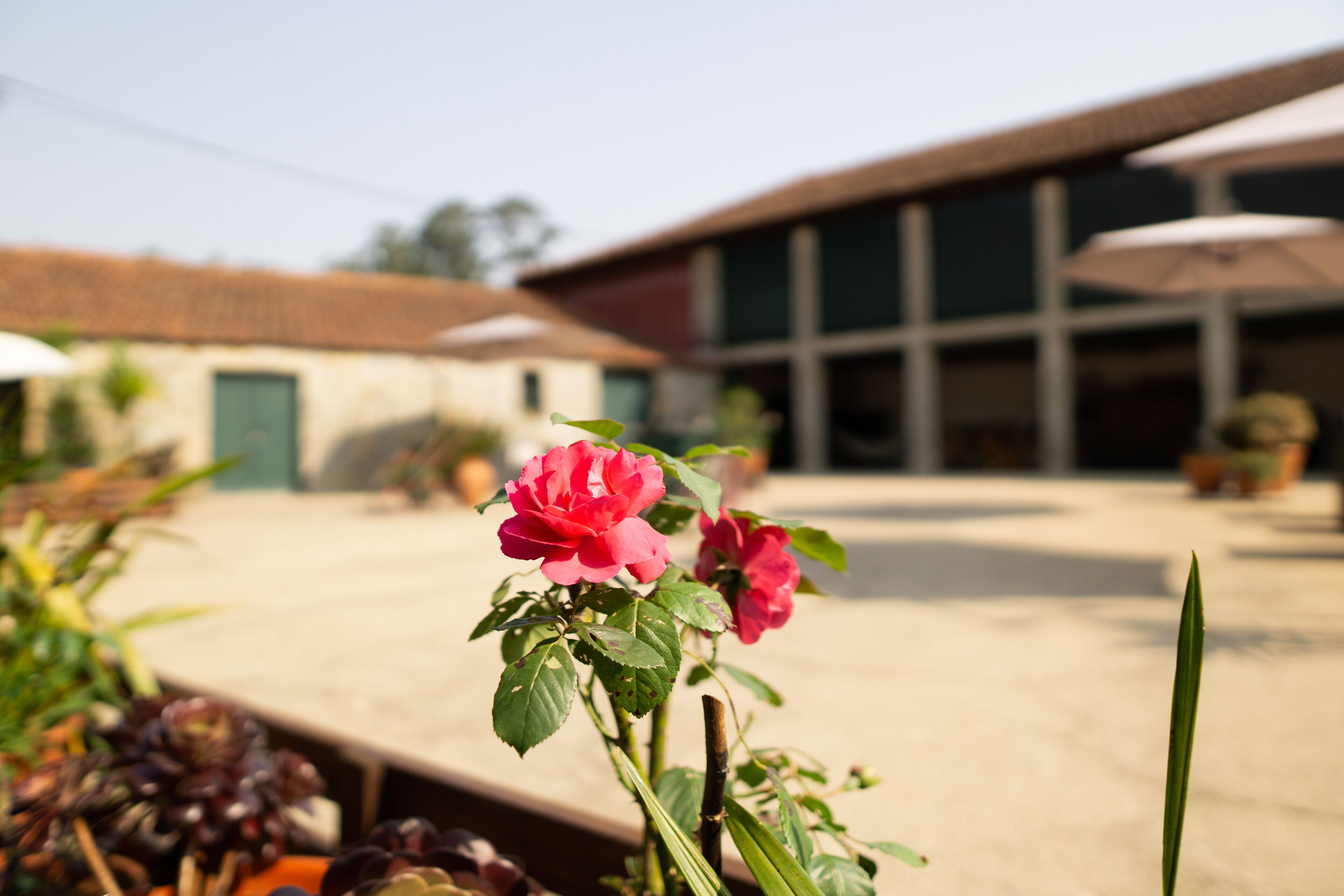 Foto - Casa Mindela Farmhouse