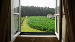 A window view of a green field with a building in the background. - Casa Mindela Farmhouse (Vila do Conde)