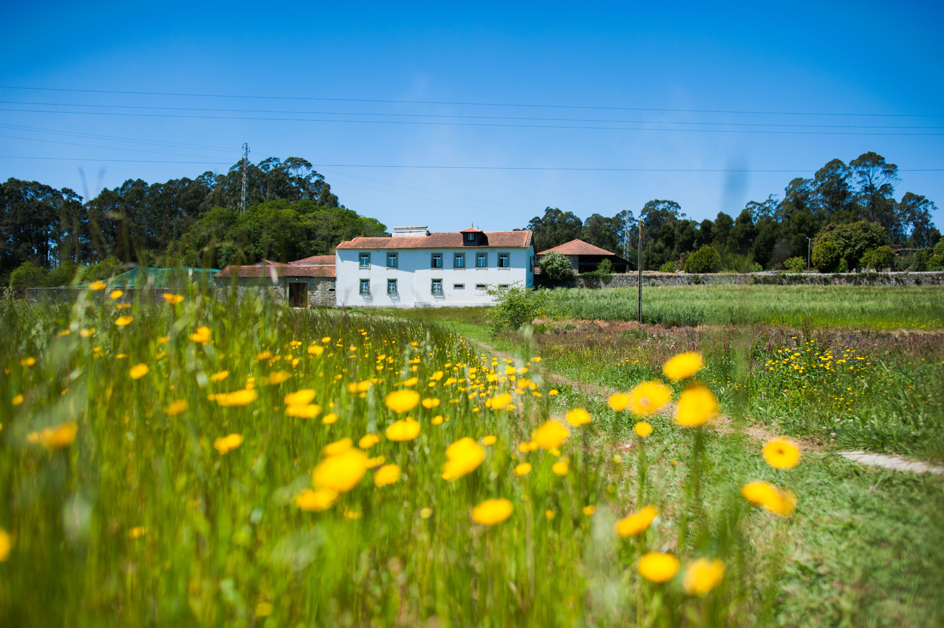 Foto - Casa Mindela Farmhouse