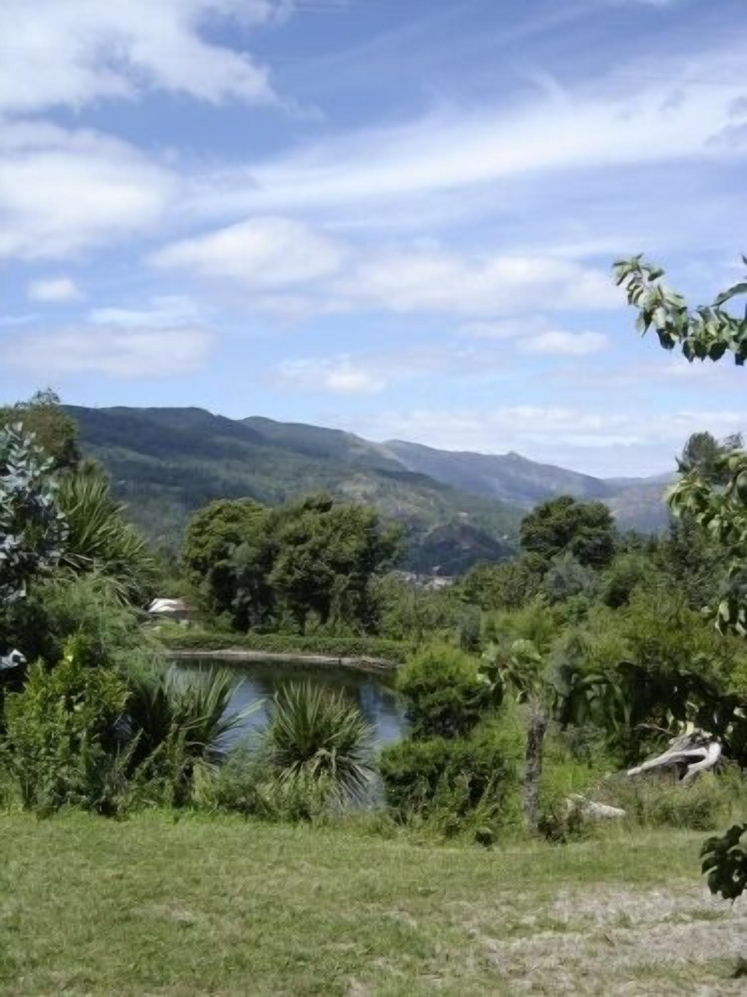 Paisaje natural con un lago, rodeado de abundante vegetación y colinas al fondo.