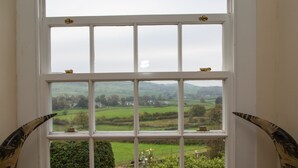 A window with a view of a rural landscape, a wooden floor, and a decorative object resembling a rhinoceros.