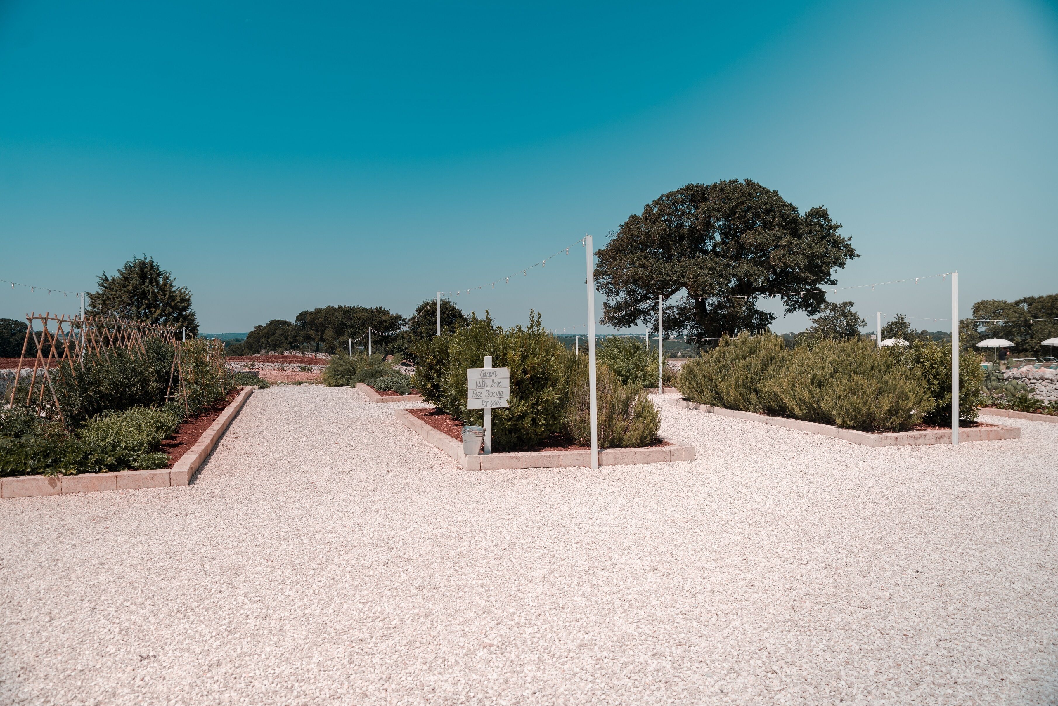 Un chemin de gravier menant à l’entrée d’un bâtiment, entouré de verdure et d’arbres.