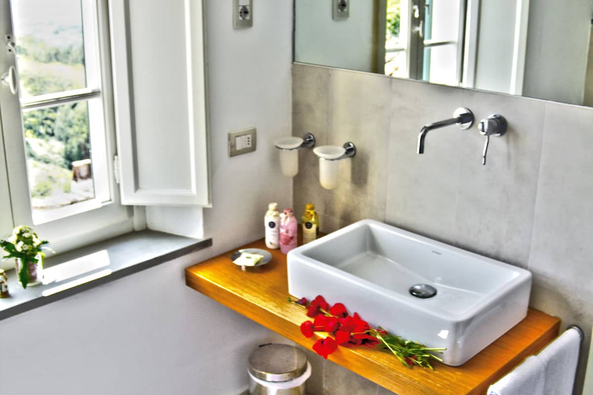 shower, free toiletries, hair dryer, bidet