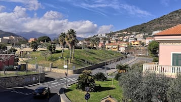 Vista desde la propiedad