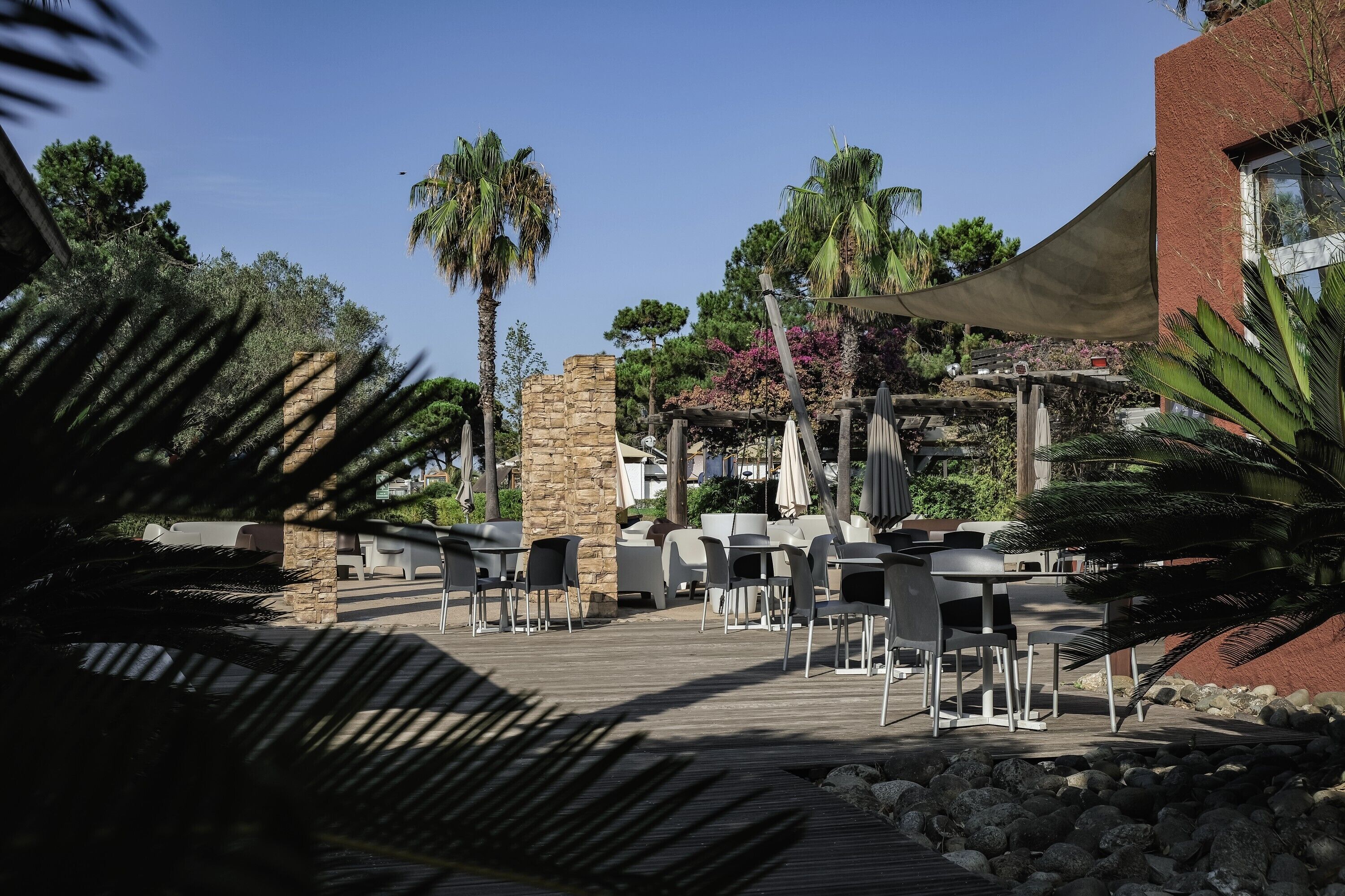 An outdoor patio area with tables and chairs, surrounded by palm trees and a stone wall.