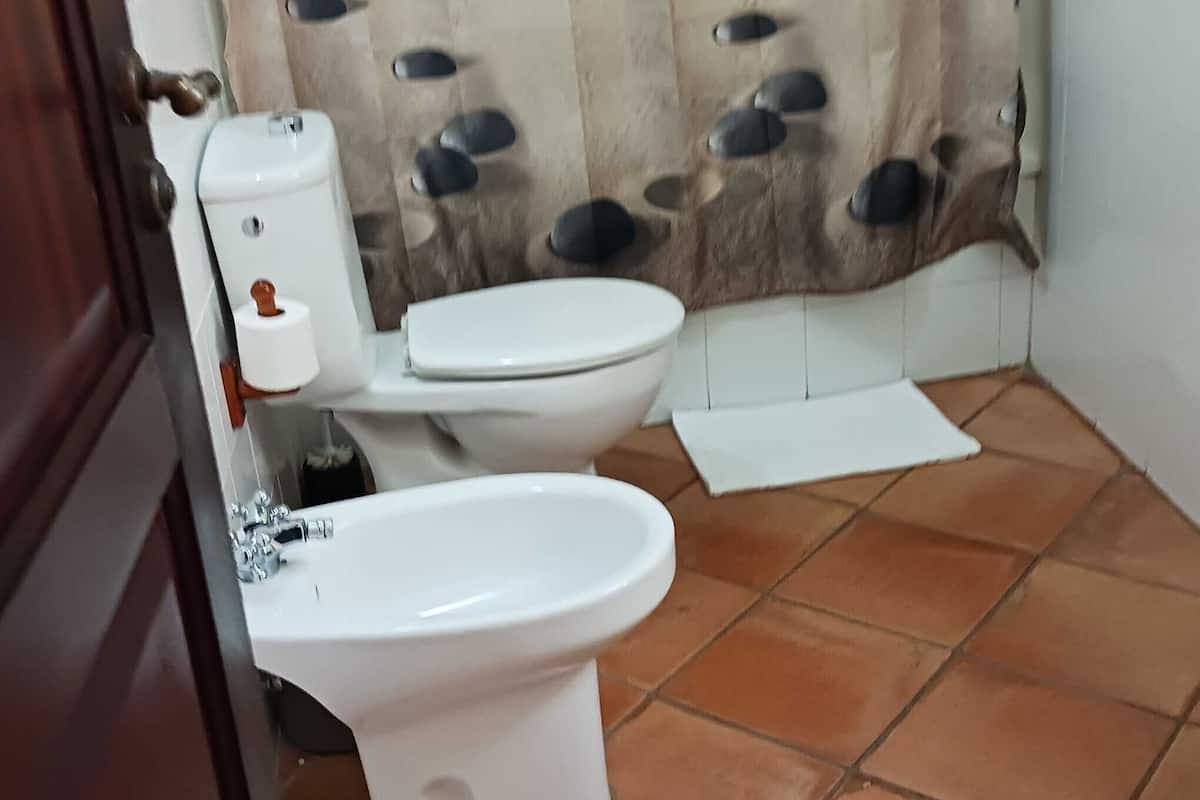 twin room, terrace, garden view (pitanga) | 1 bedroom, premium bedding, down duvets, minibar