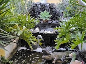 A pond with a waterfall, surrounded by various plants.
