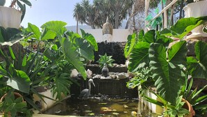 A serene garden with a pond, lush greenery, and a small waterfall.