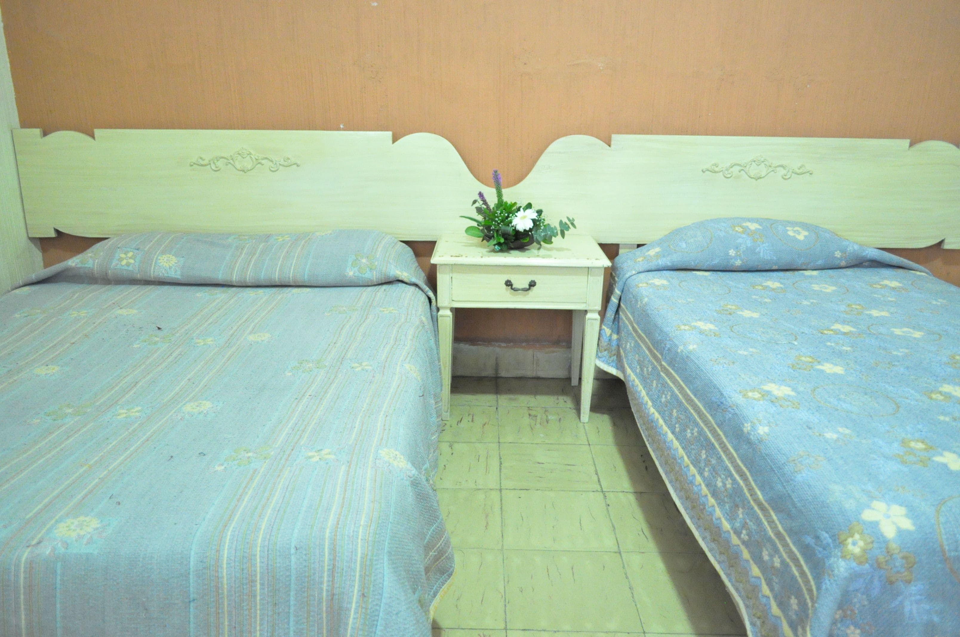 Una habitación con dos camas, cada una con una colcha estampada con motivos florales, una mesita de noche con una planta y una pared de color claro.