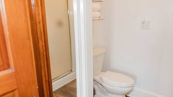 Une salle de bain avec des toilettes, une douche et une porte en bois.