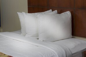 Room - Flamingo Express Hotel (Kissimmee)