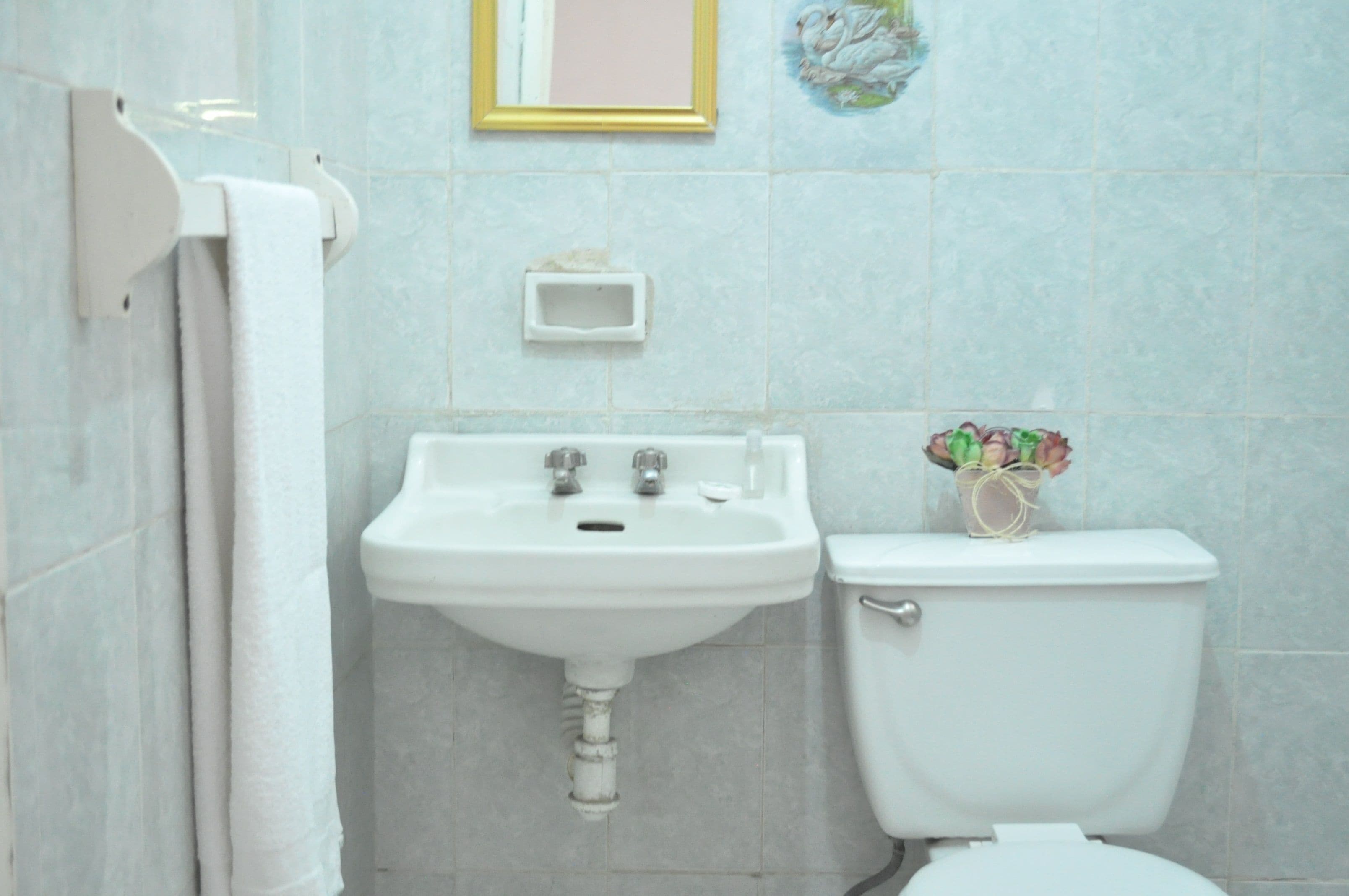 Un bagno con un lavandino bianco, un water e un portasciugamani.