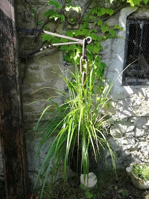 Property grounds - B&B Prà de Mandè (Viano)