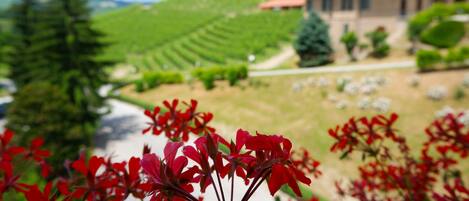 Camera Comfort | 1 bedroom, premium bedding, minibar, in-room safe