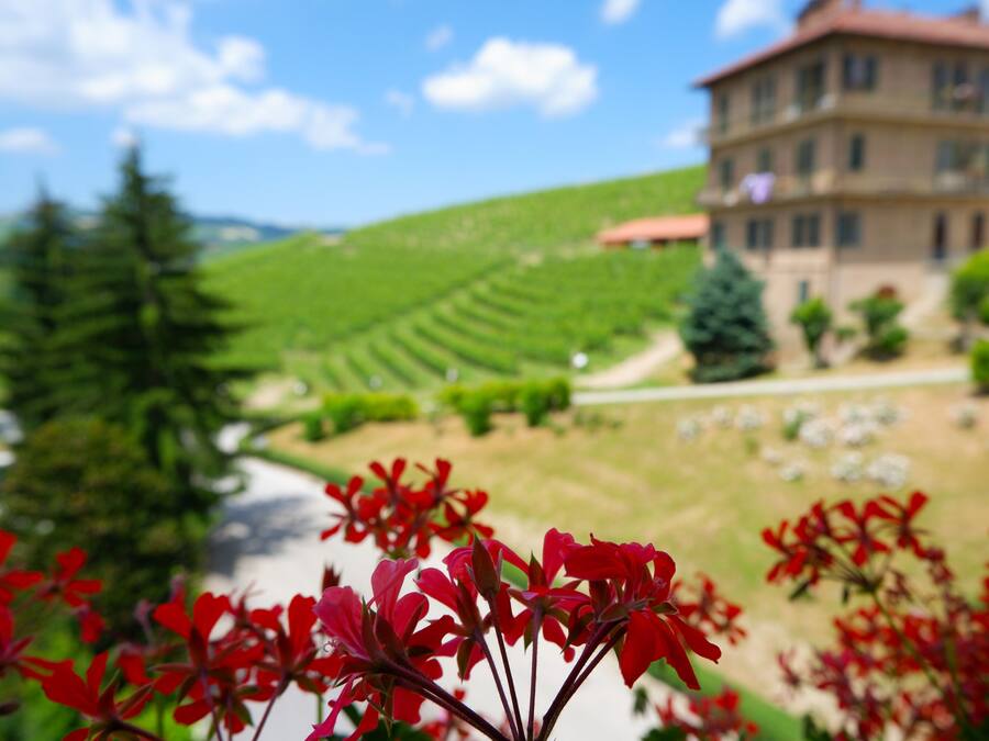 Camera Comfort | 1 dormitorio, ropa de cama de alta calidad, minibar y caja fuerte