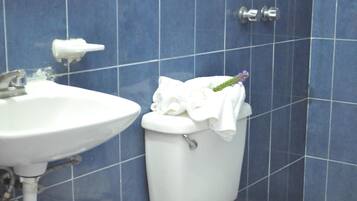 Douche, articles de toilette gratuits, serviettes fournies