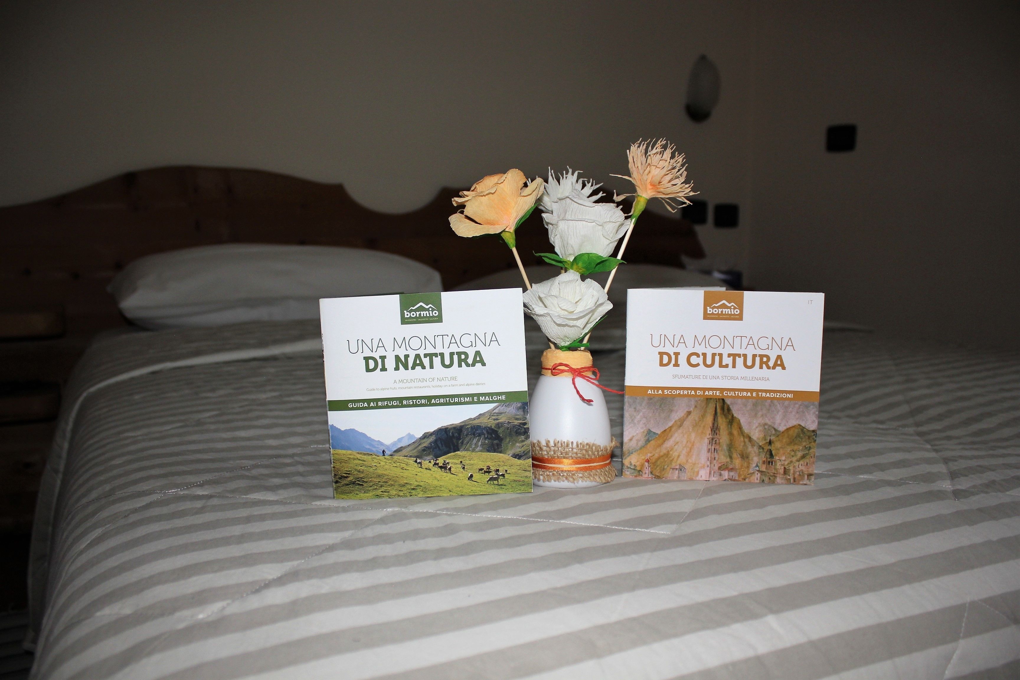 Double Room | Desk, free cribs/infant beds, rollaway beds, free WiFi