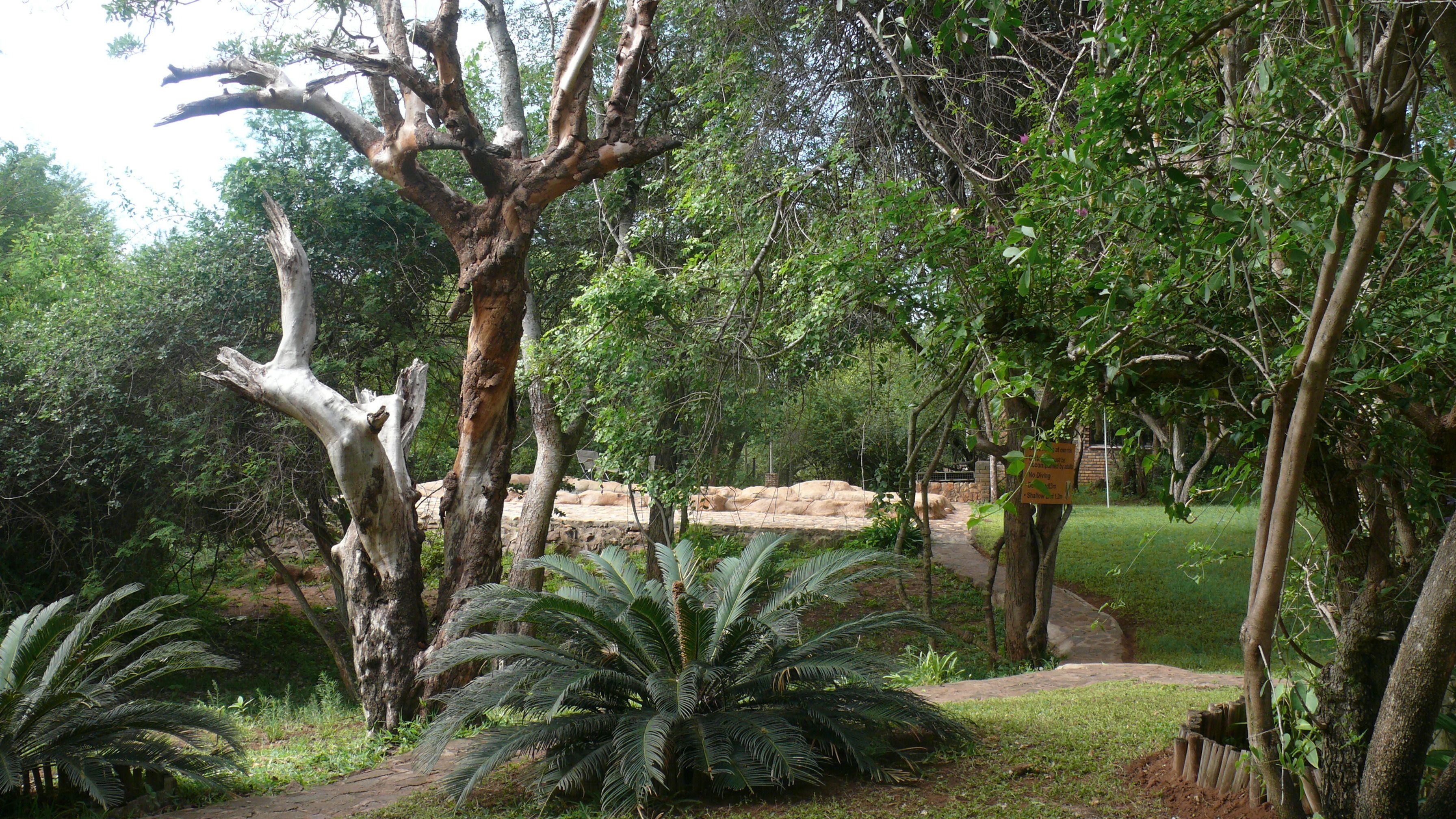 Außenpool, Sonnenschirme