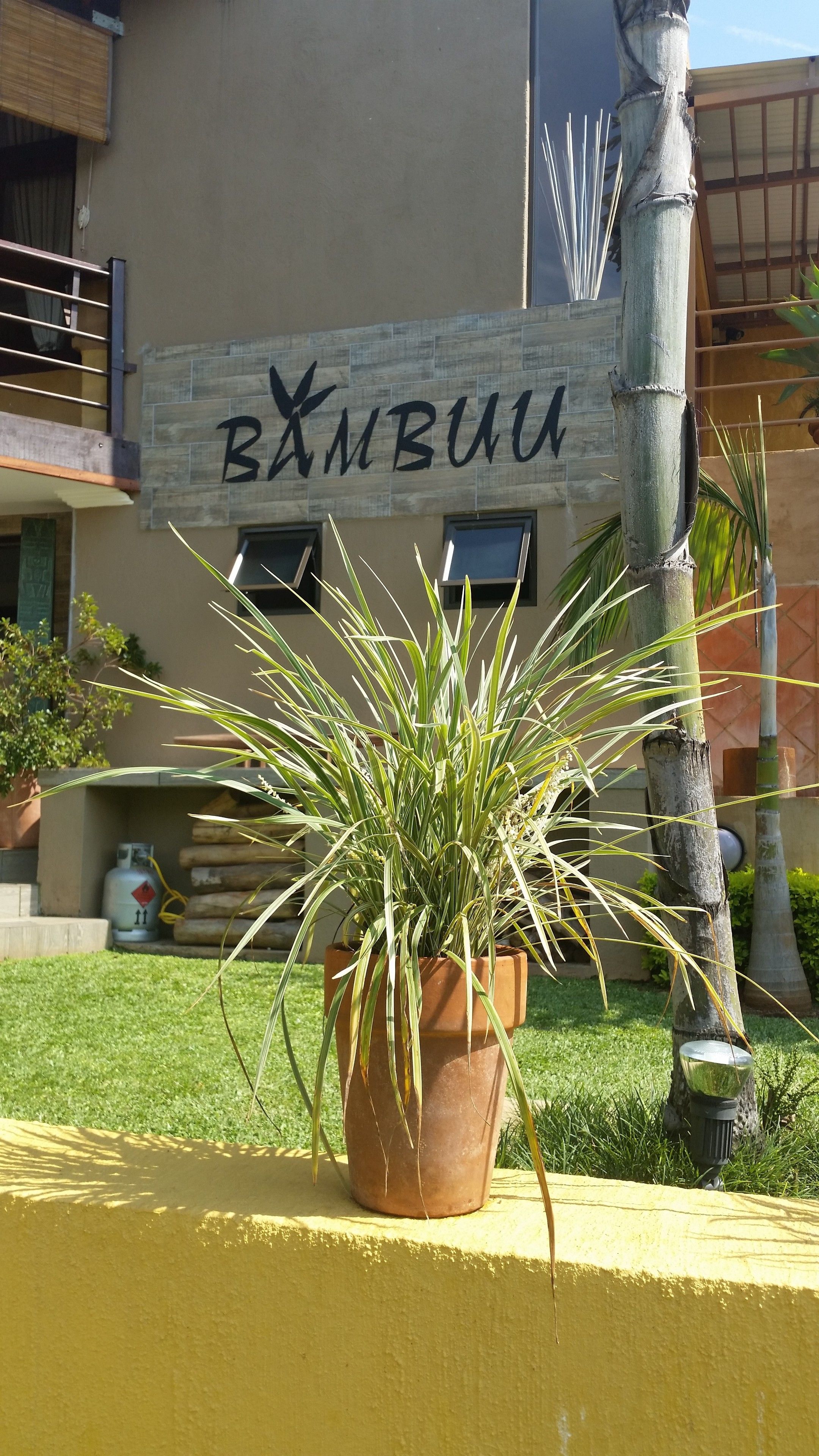 A sign with the word "Bamboo" and a potted plant in front of a building.
