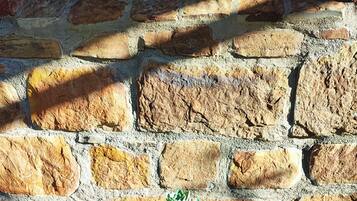 Un carretón lleno de suculentas verdes frente a un muro de piedra.