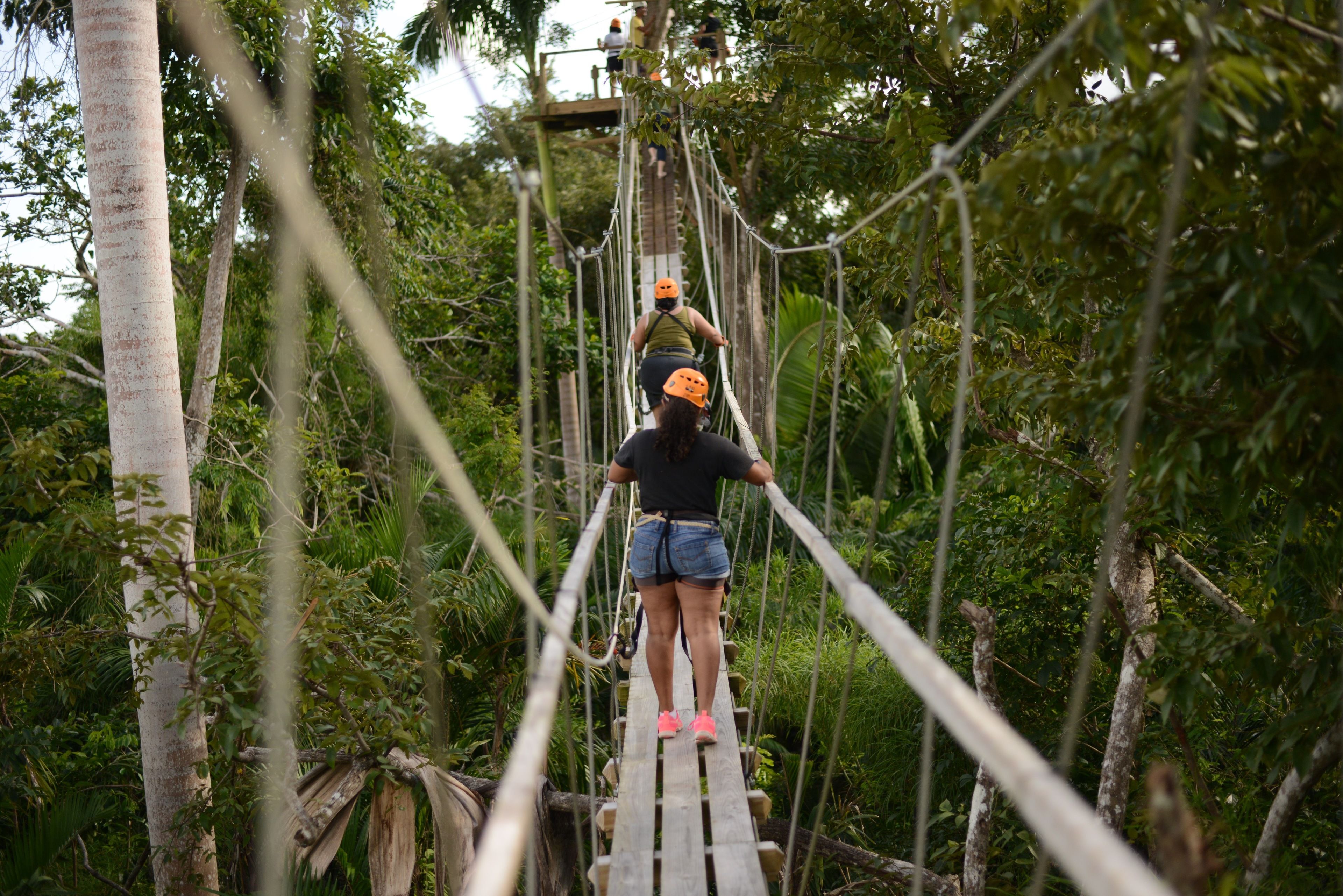 A person on a rope bridge in a forested area.