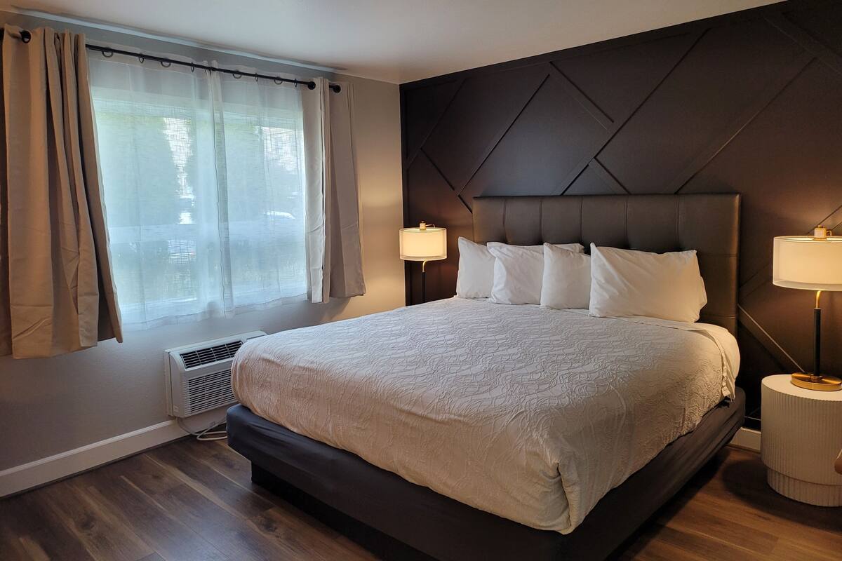 A hotel room with a large bed, a bedside table with a lamp, a window with curtains, and a wall with a geometric pattern.