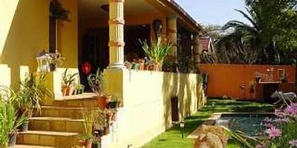 Exterior - Sleepy Gecko Guest House (Johannesburg)