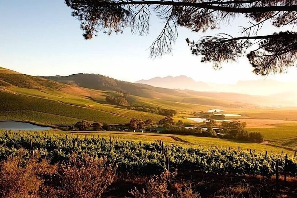 Jordan Wine Estate by null