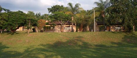 A grassy area with a building that has a tiled roof and a large window. There are trees and a street lamp in the background.