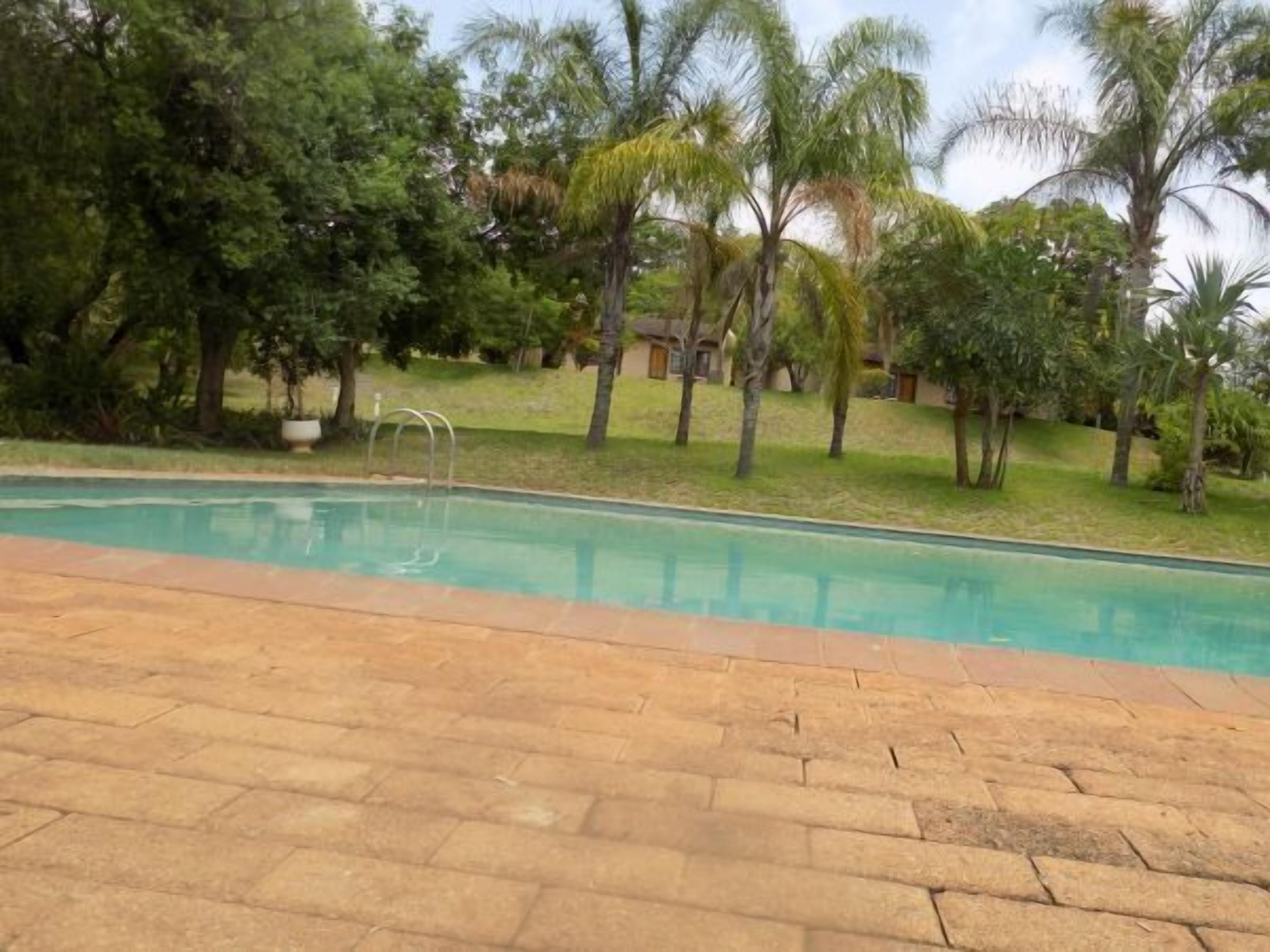 A swimming pool with a brick deck, surrounded by palm trees and other greenery.