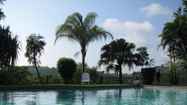 A swimming pool with clear water, surrounded by palm trees and greenery. - Eagle's Nest Chalets (Hazy view)