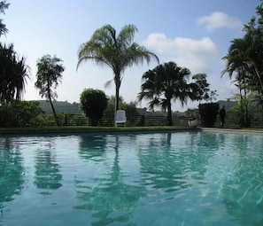 Uma piscina com água cristalina, rodeada por palmeiras e vegetação.