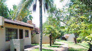 A residential area with a paved walkway, a house with a tiled roof, and surrounding greenery including palm trees and other plants. - Eagle's Nest Chalets (Hazy view)