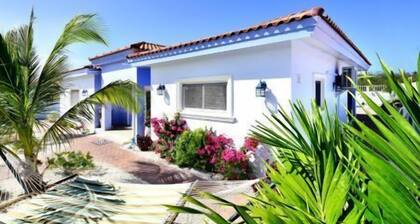 Aruba Dream Vacation Homes