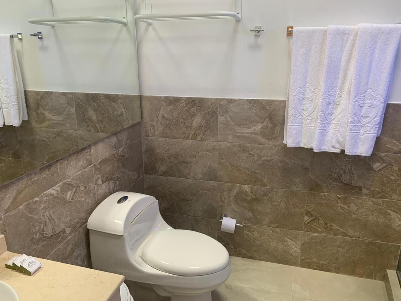 Une salle de bain comprenant des toilettes, un porte-serviettes et un espace douche.