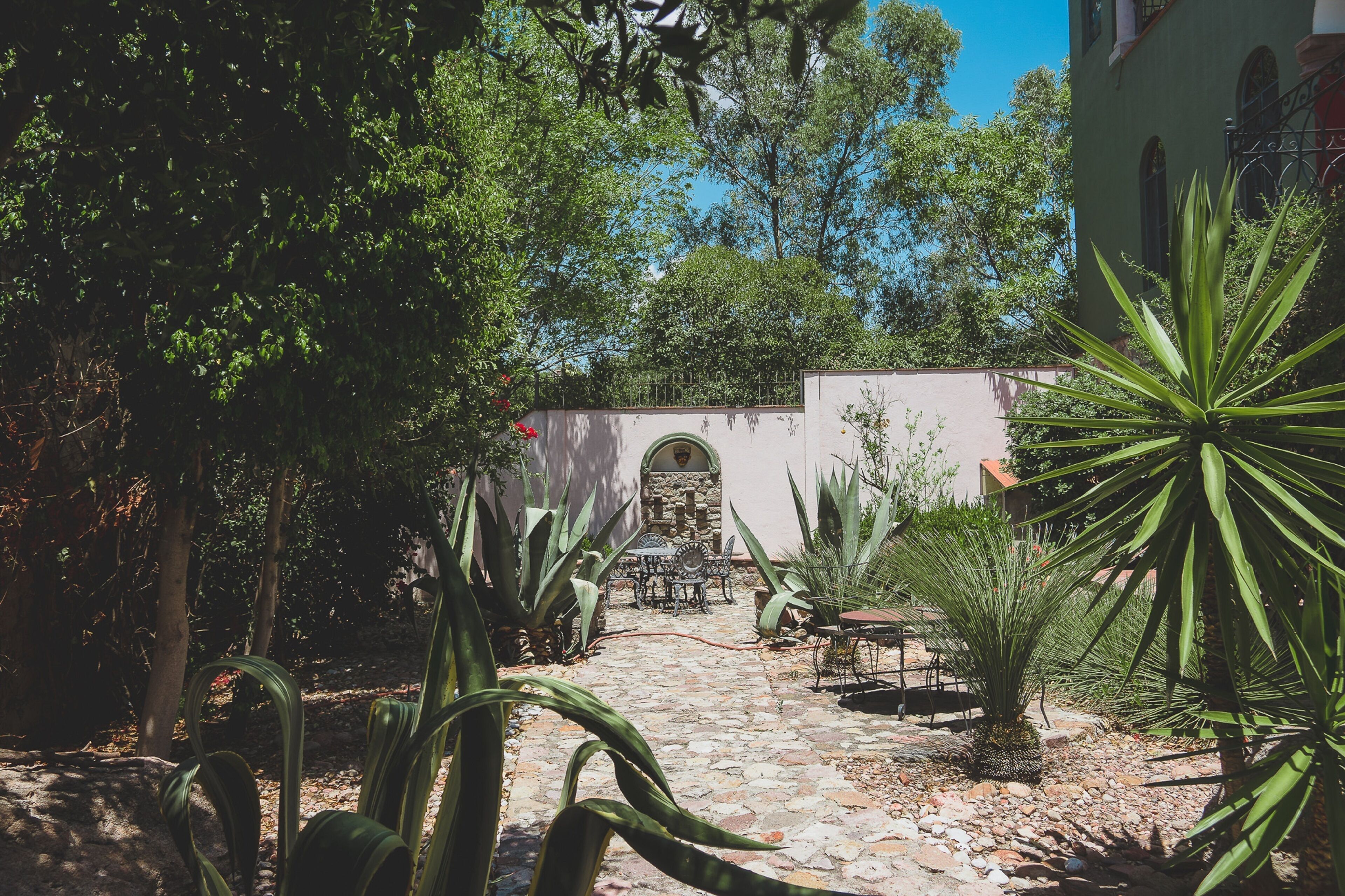 Un patio con un sendero de piedra, un banco de piedra y diversas plantas.