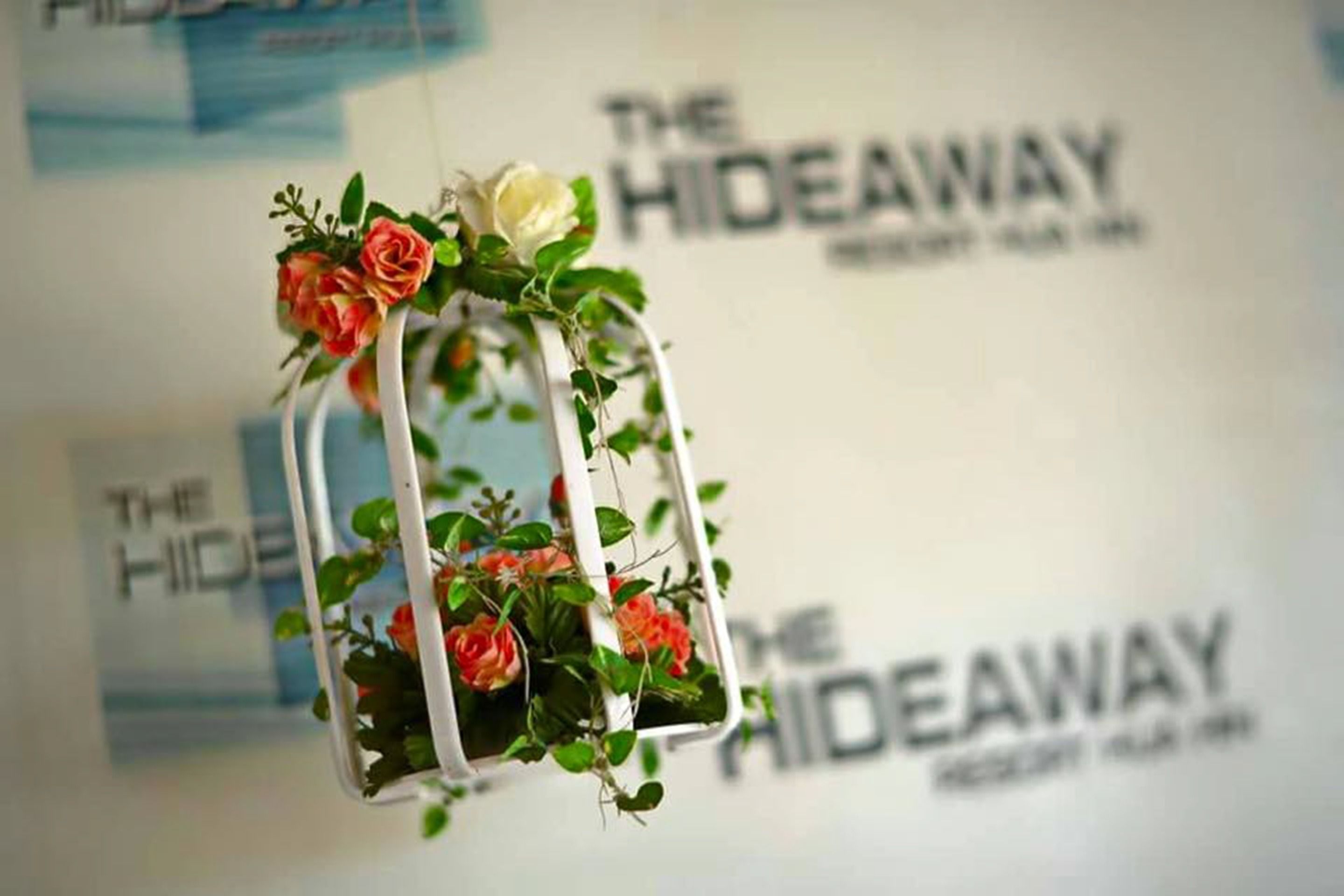 Foto - The Hideaway Resort