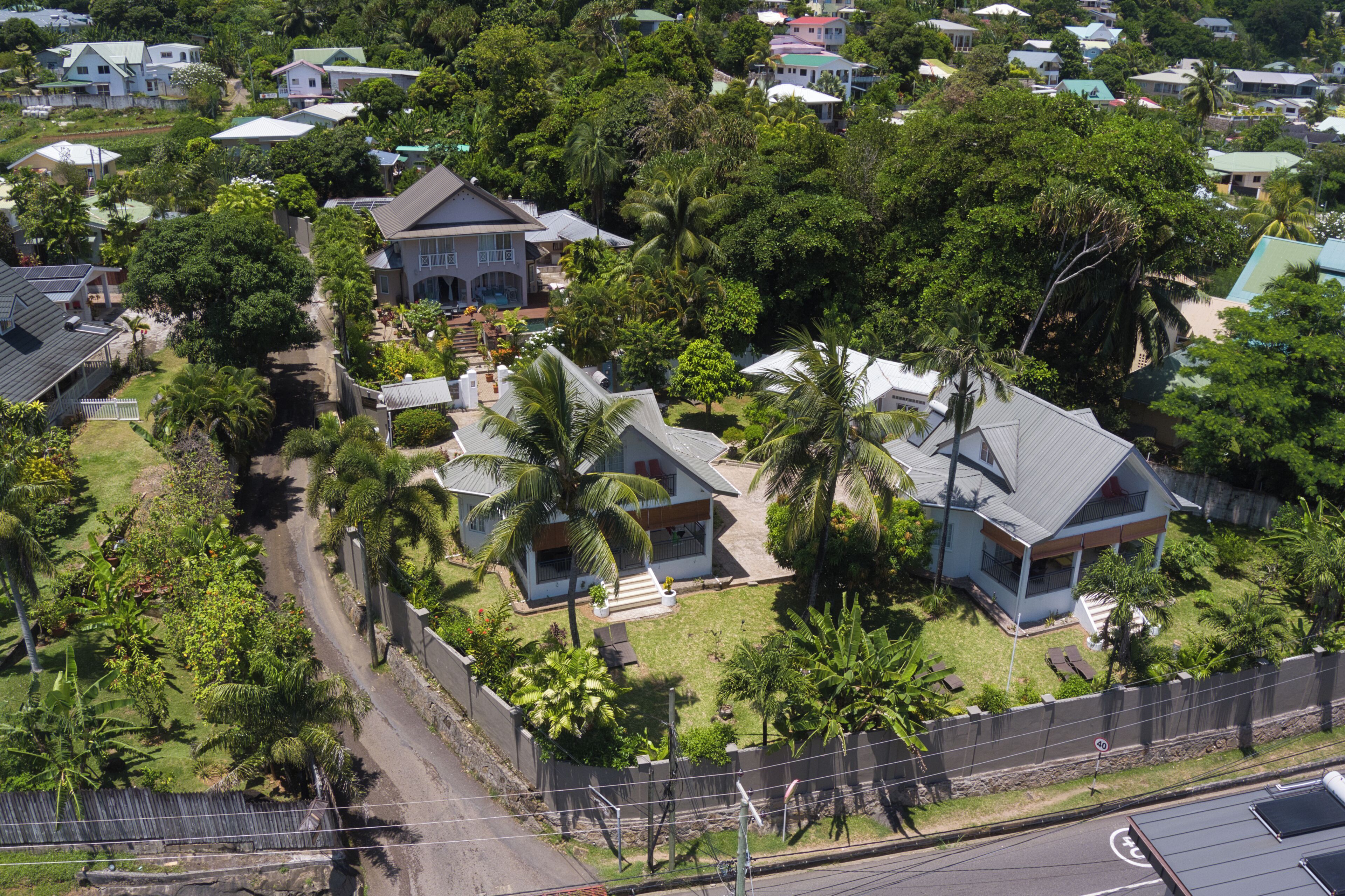 A residential area with houses surrounded by lush greenery and a clear road.