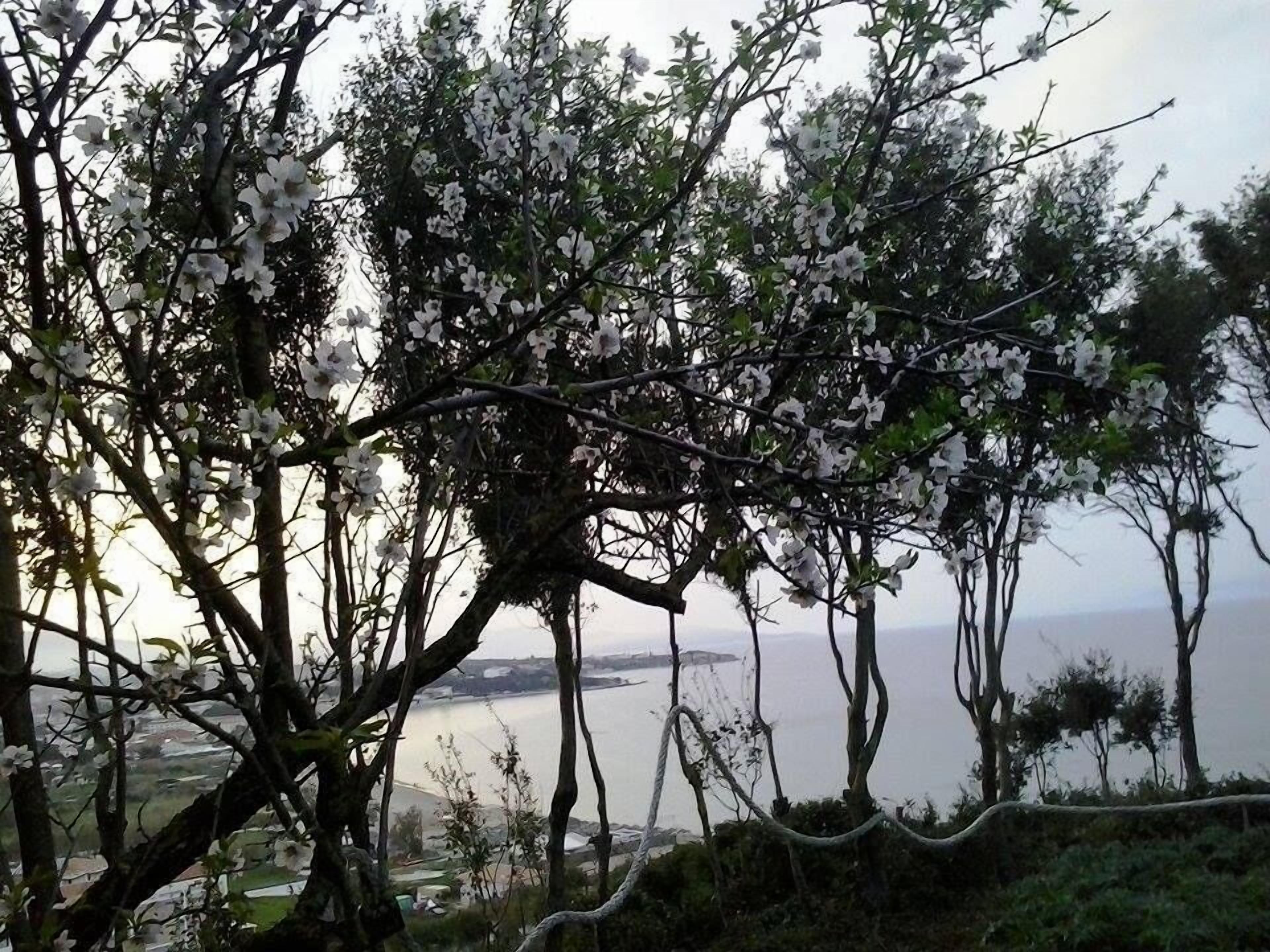 Esterni