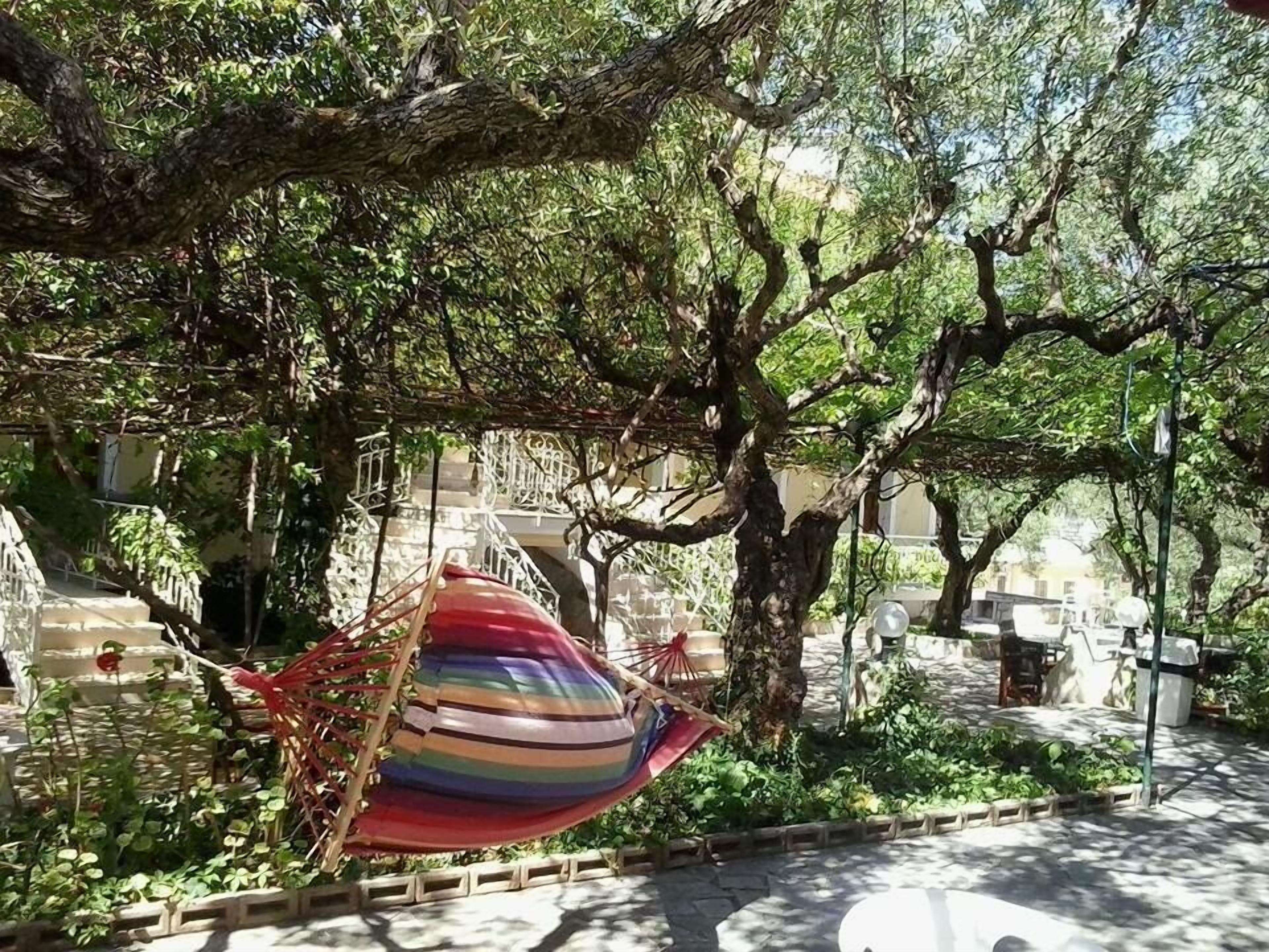 A hammock hanging between trees in a courtyard with stone steps and greenery.