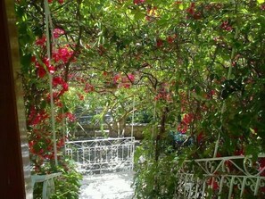 A garden with a metal gate and lush greenery.