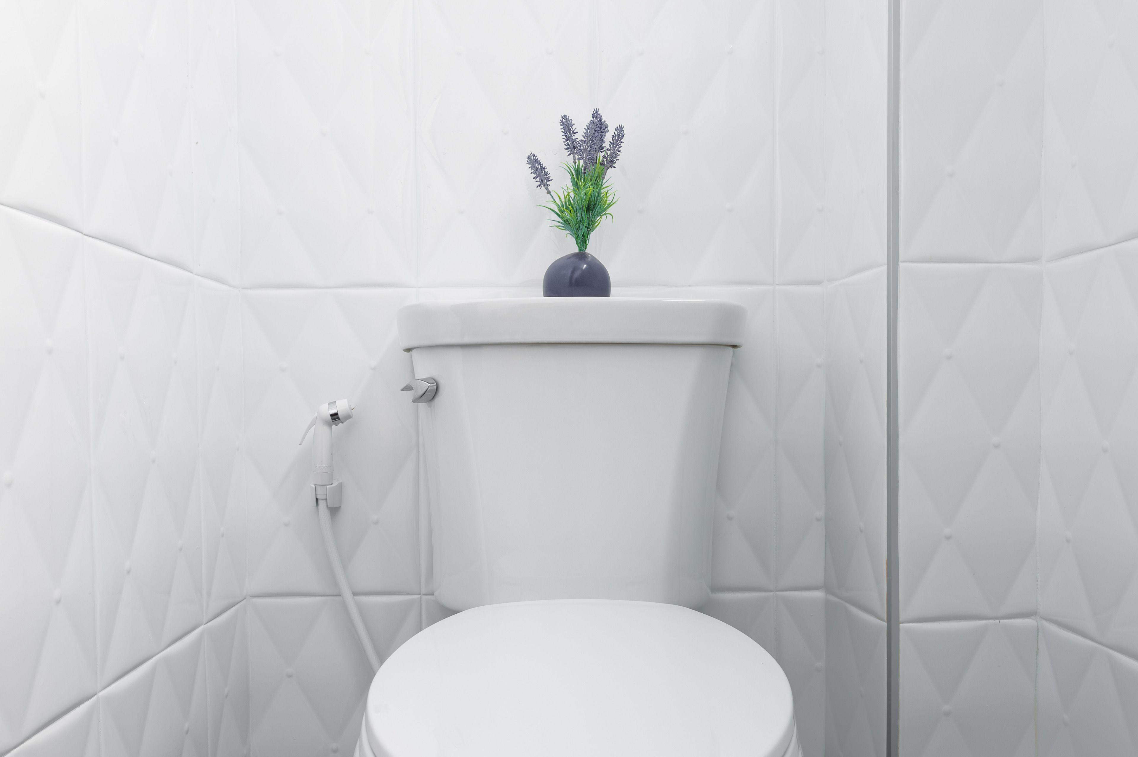 shower, free toiletries, hair dryer, slippers