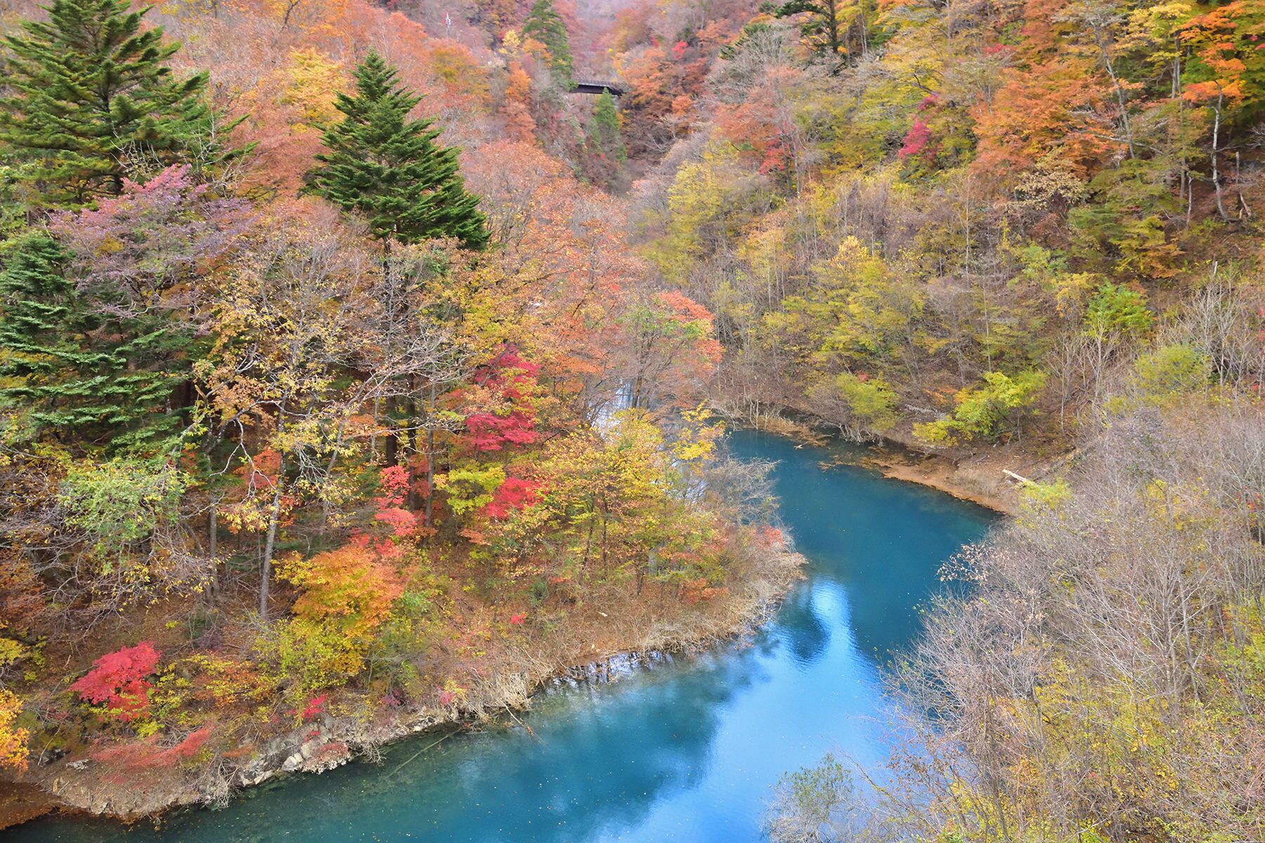A river winding through a forest with autumn foliage.