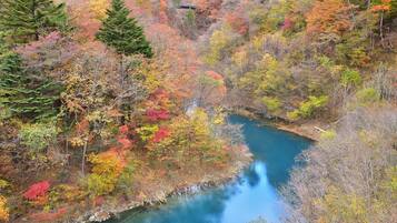 A river winding through a forest with autumn foliage.