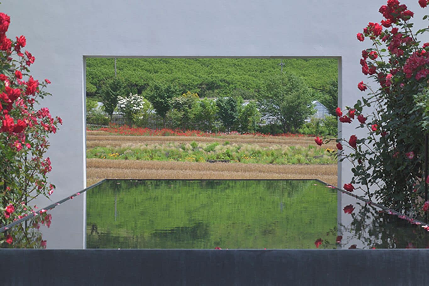 Een ingelijst landschap met een vijver op de voorgrond, omgeven door bloeiende rode bloemen.