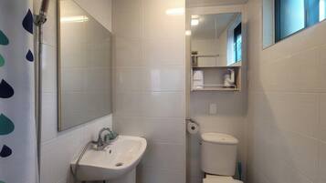 A small bathroom with a sink, toilet, and mirror.